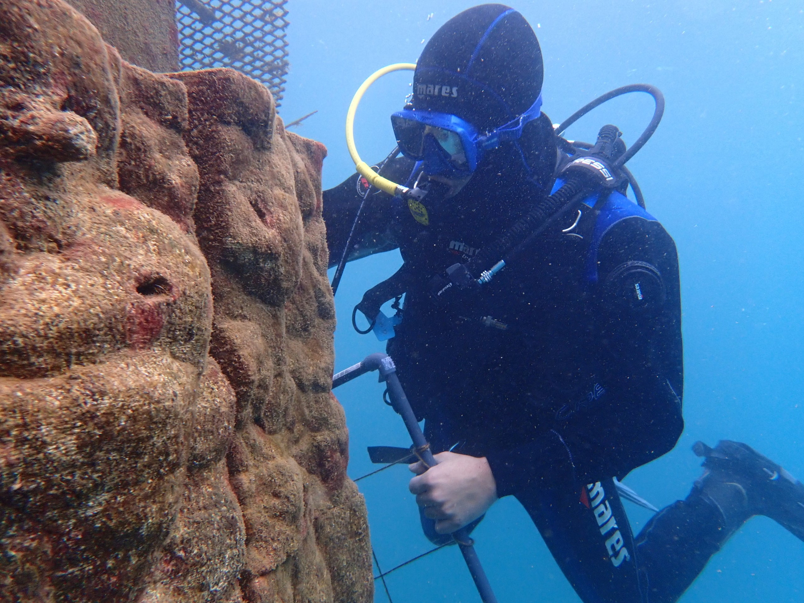 Una persona instal·lant una estructura d'Ocean Ecostructures / Ocean Ecostructures