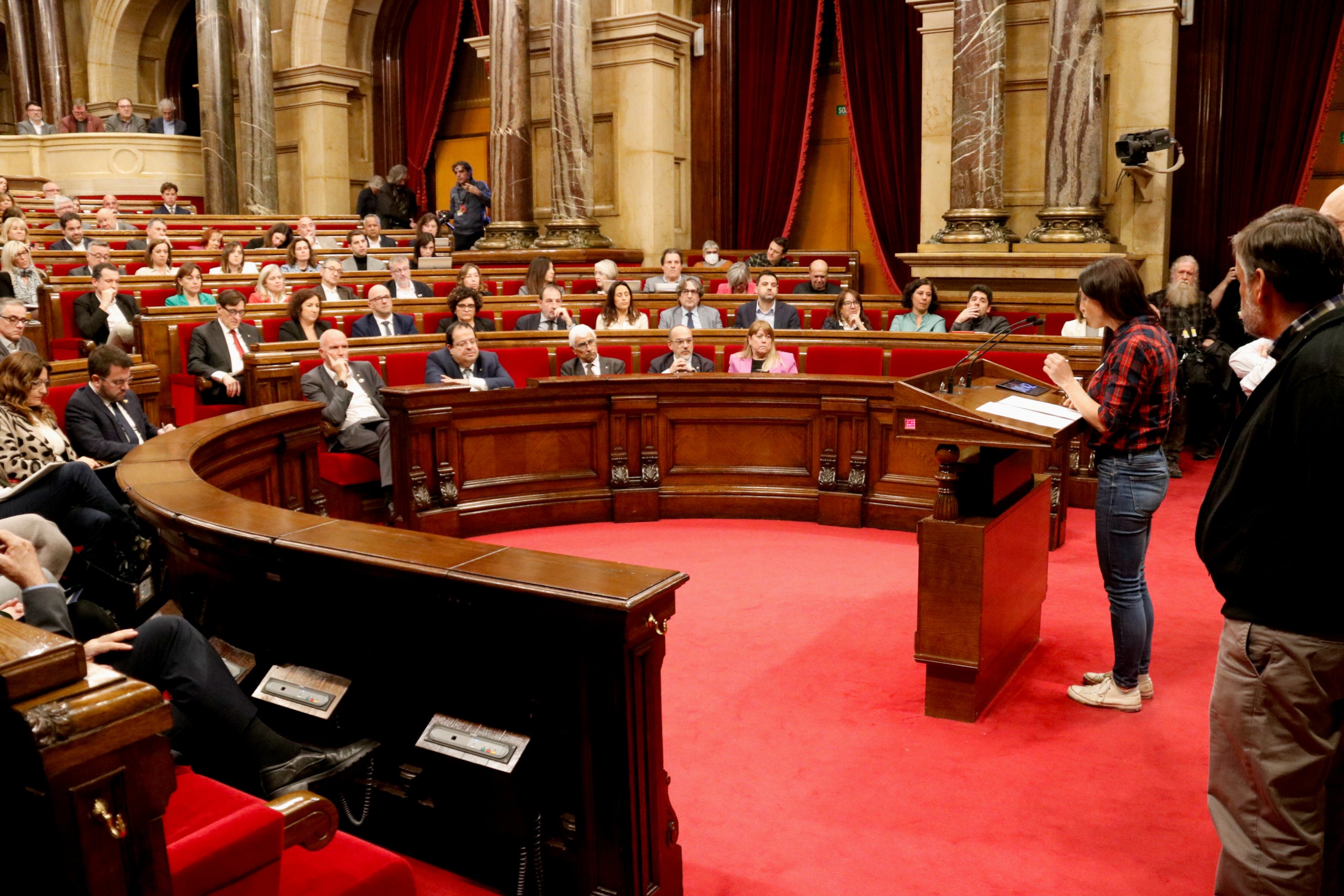 La portaveu de Plataforma Pagesa, Imma Puigcorbé, durant la seva ponència al monogràfic sectorial del Parlament / ACN