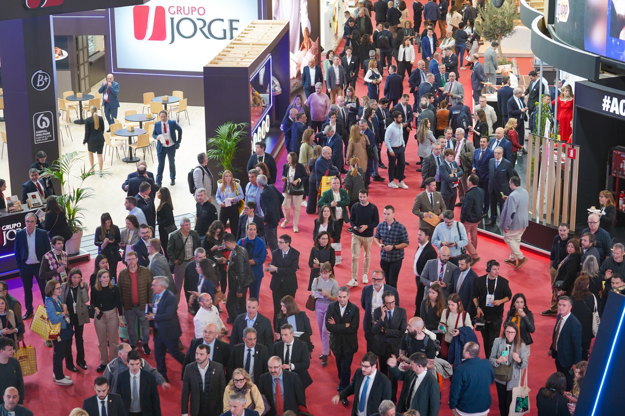 Imatge d'un dels pavellons de l'Alimentaria&Hostelco 2024 / Fira de Barcelona