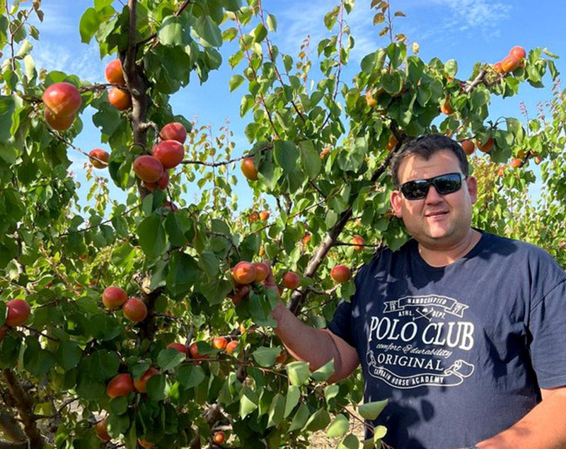L'Andreu Aragonès en un dels seus camps d'albercoquers / Cedida (pàgina web)