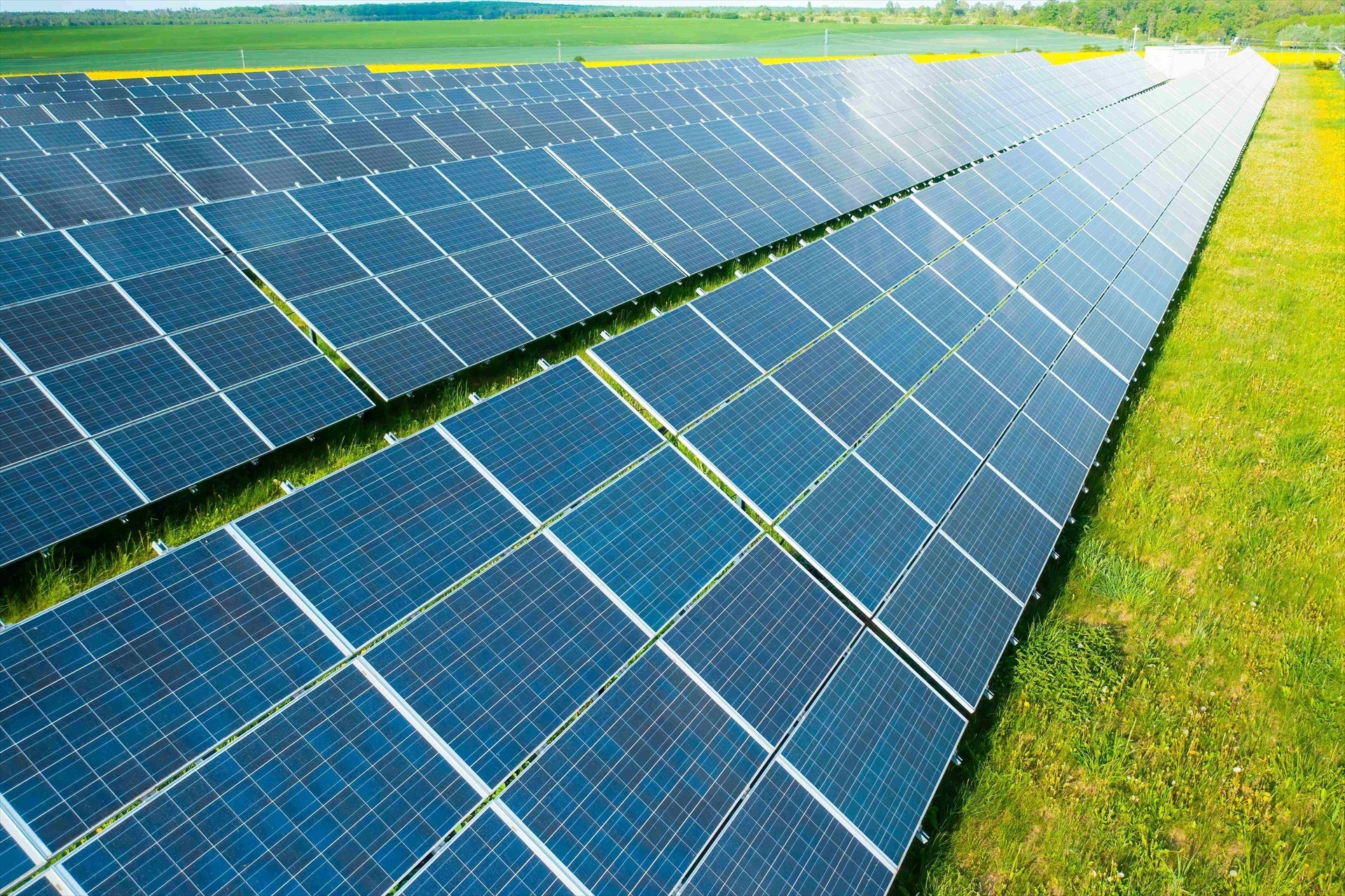 Imatge d'una planta fotovoltaica / EP