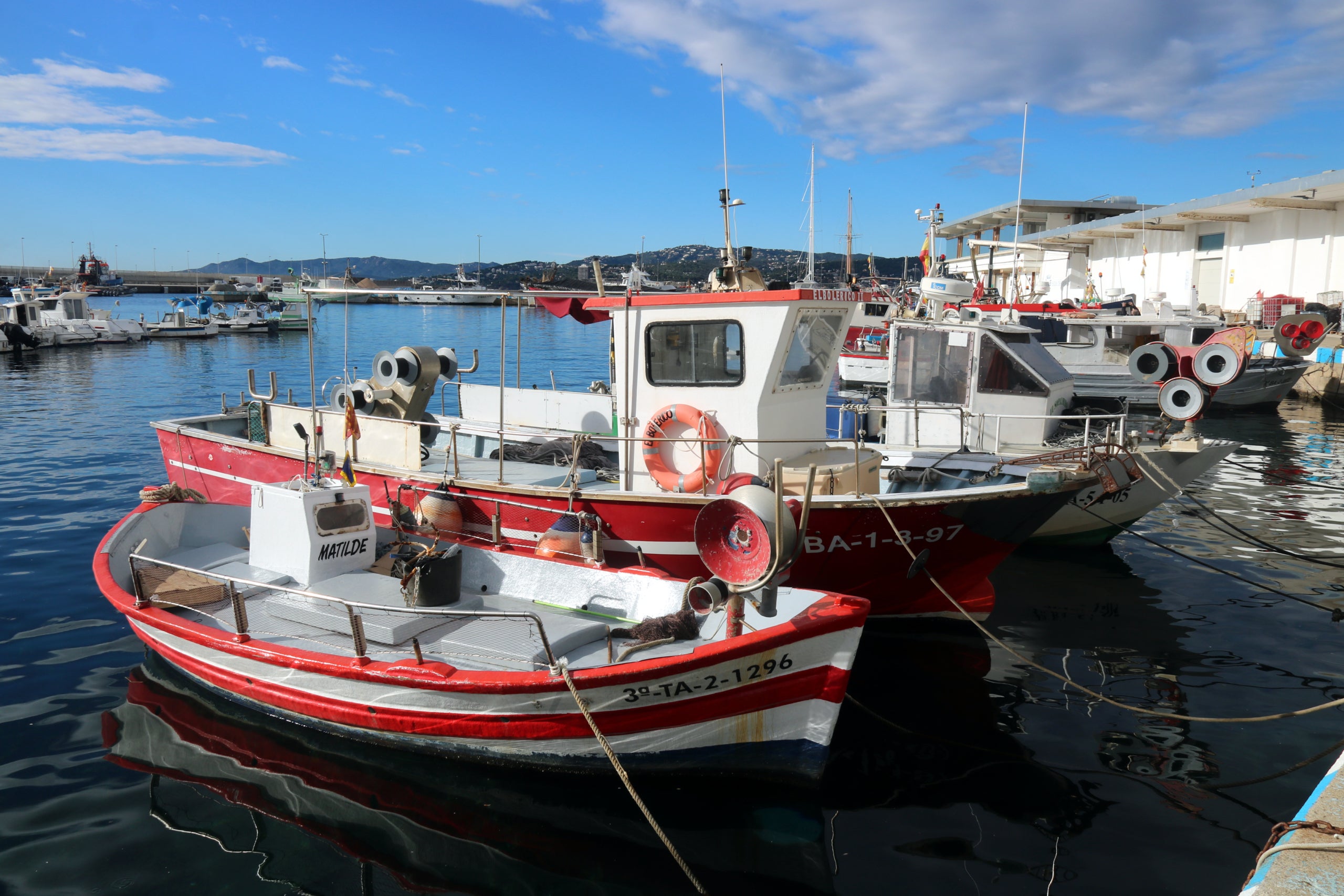 Barques amarrades al Port de Palamós / ACN