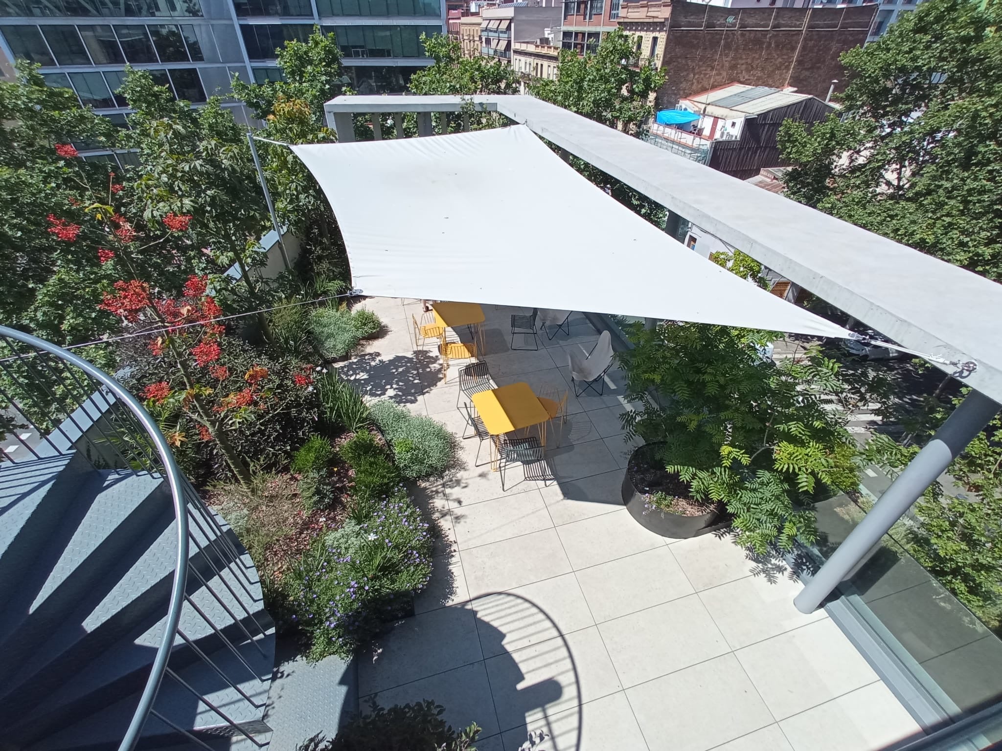 Exemple del projecte de Jungle Roofs desenvolupat a Barcelona per aportar verd als terrats de la ciutat / Cedida per Jungle Roofs