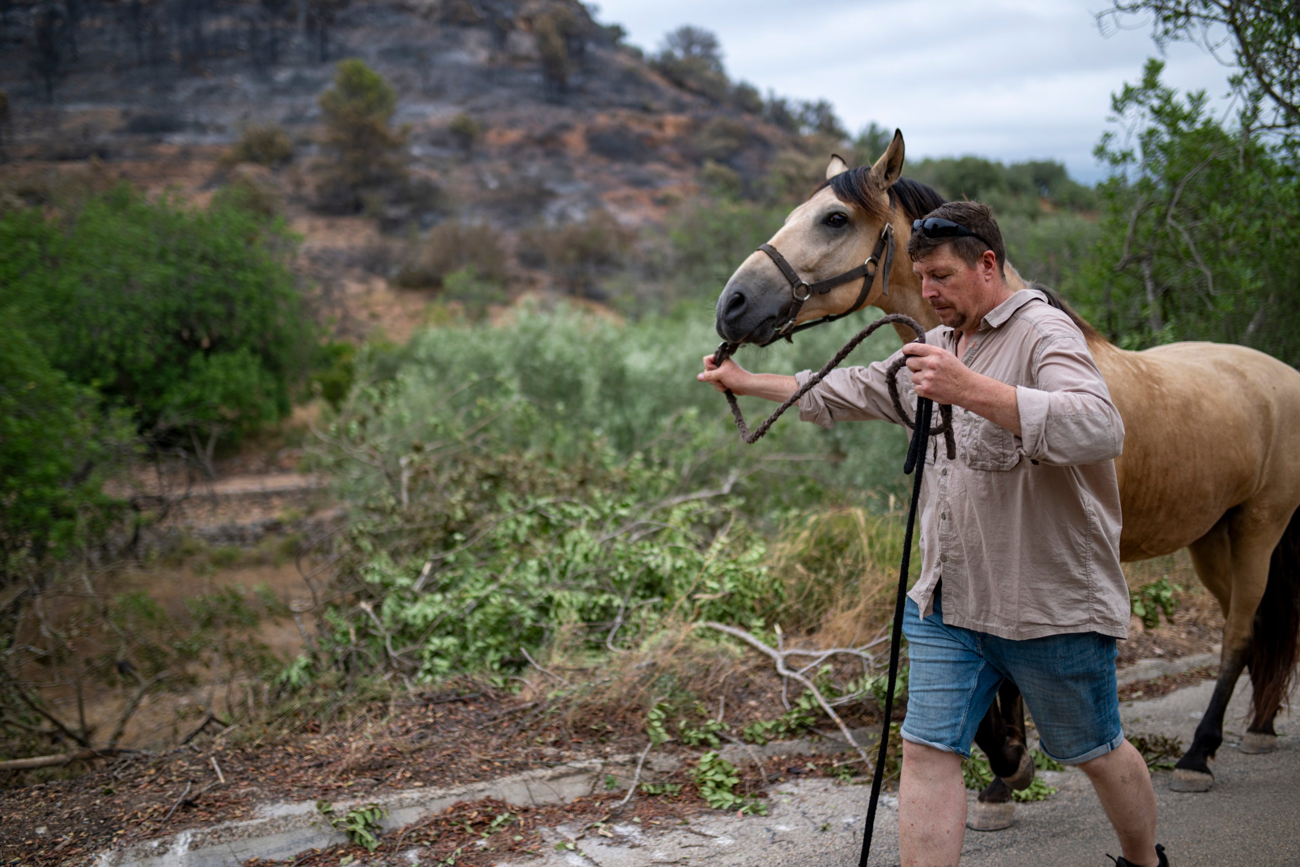 Un hombre pasea con un caballo por los campos arrasados por los incendios de las Terres de l'Ebre / Europa Press