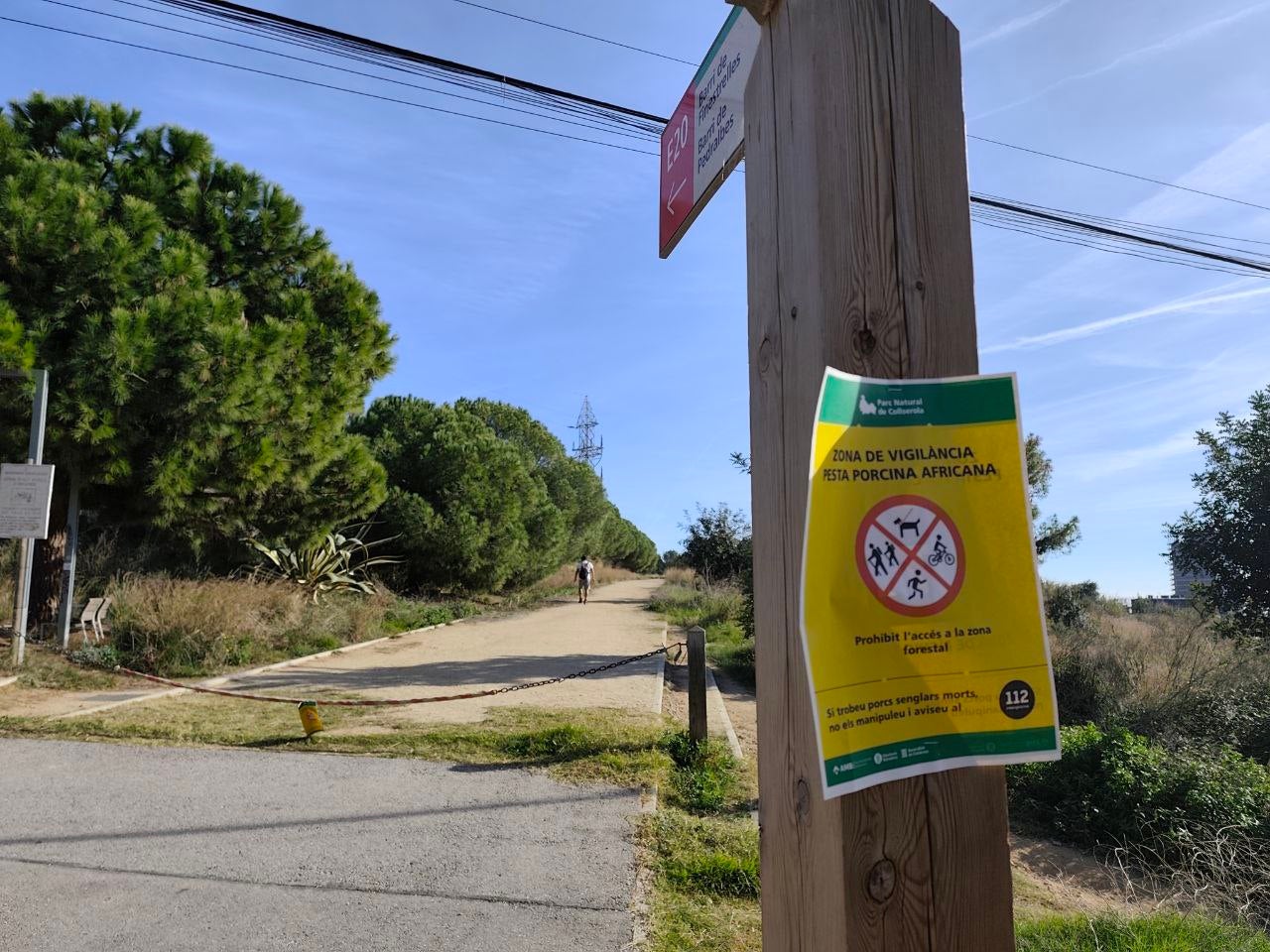 Accessos tancats a Esplugues de Llobregat per la pesta porcina africana / Cedida a l'ACN