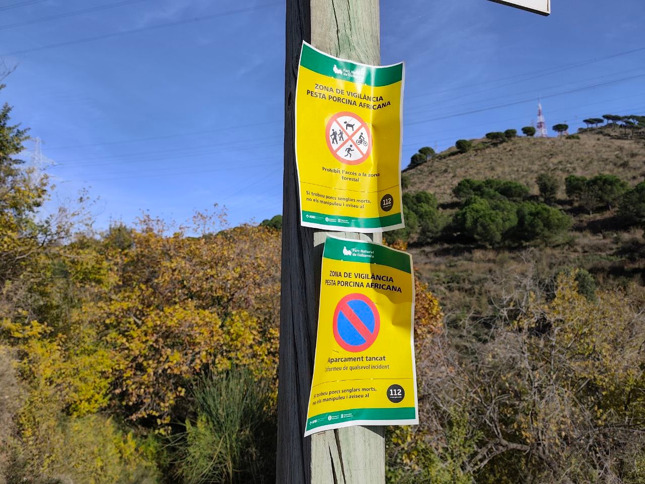 Cartells que avisen del tancament del Parc Natural de Collserola per la pesta porcina africana / ACN