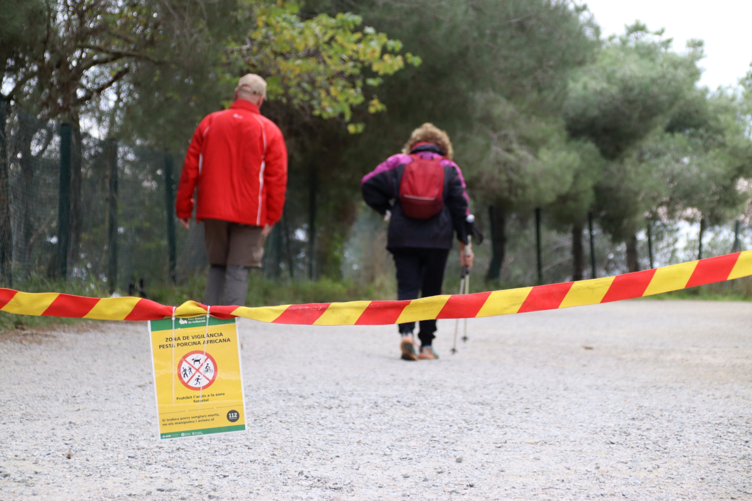 Ciutadans saltant-se les restriccions per la pesta porcina africana a Collserola / Mariona Puig (ACN)