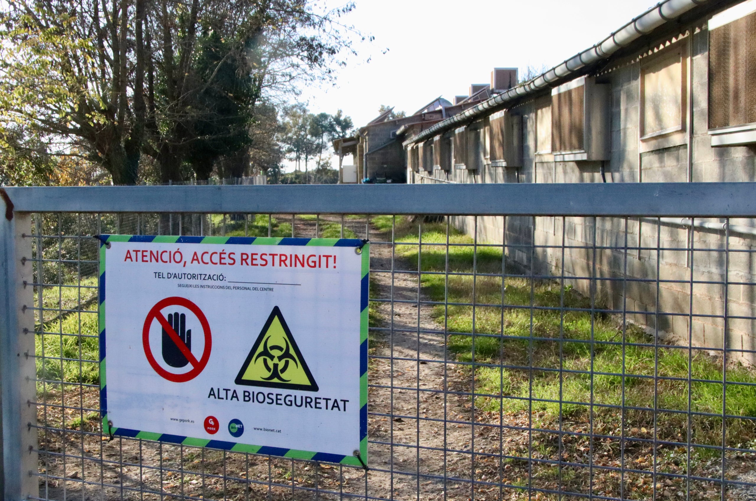 Cartell d'alerta sanitària a la tanca d'una granja de porcs catalana / ACN