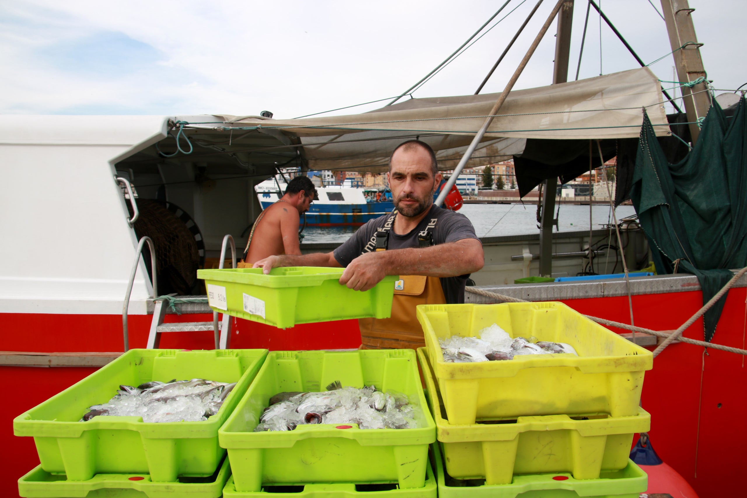 Dos pescadors descarregant els peixos capturats dos dies abans de l'inici de la vida dels mariners de la confraria tarragonina 
| Mar Rovira (ACN)