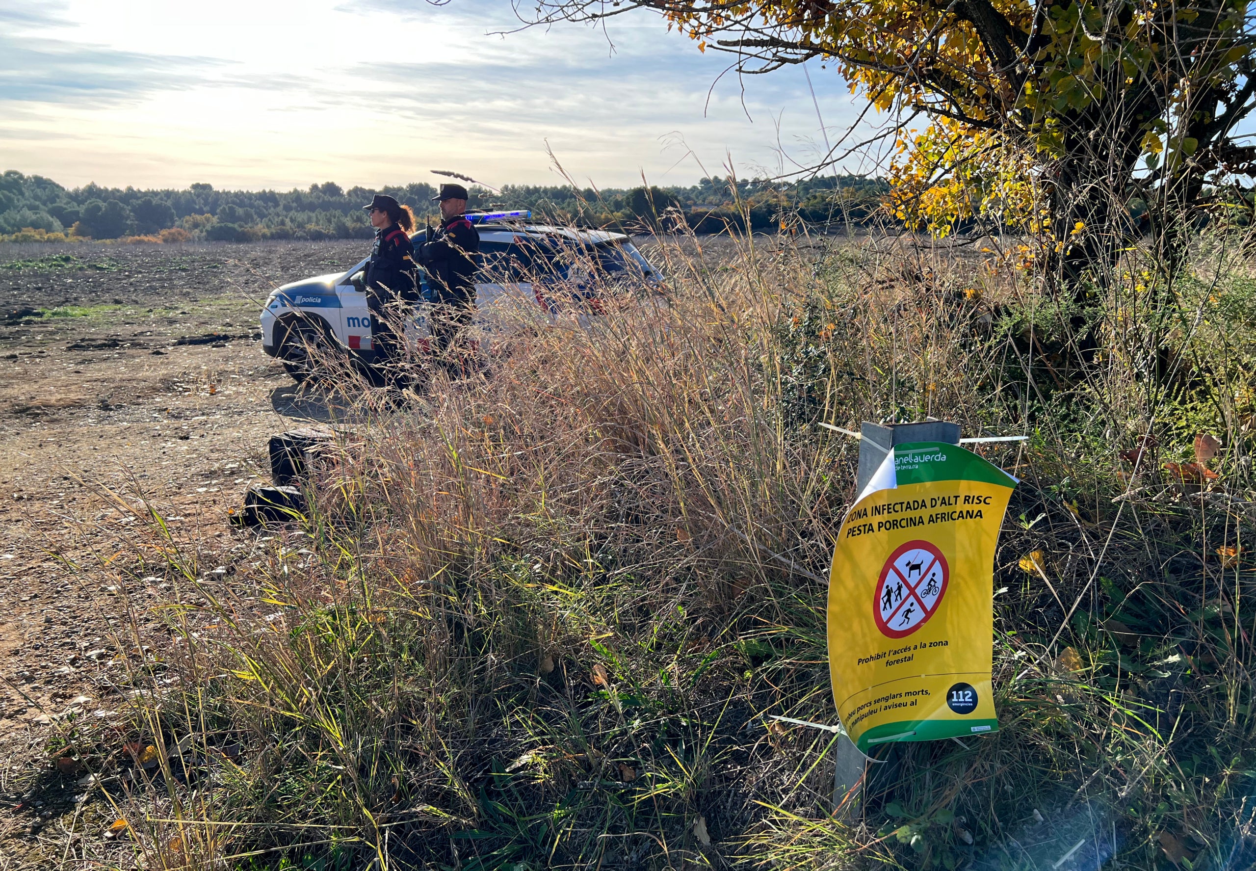 Una patrulla dels Mossos vigila un dels punts d'accés de la zona d'exclusió de la pesta porcina a la rodalia de Terrassa / ACN