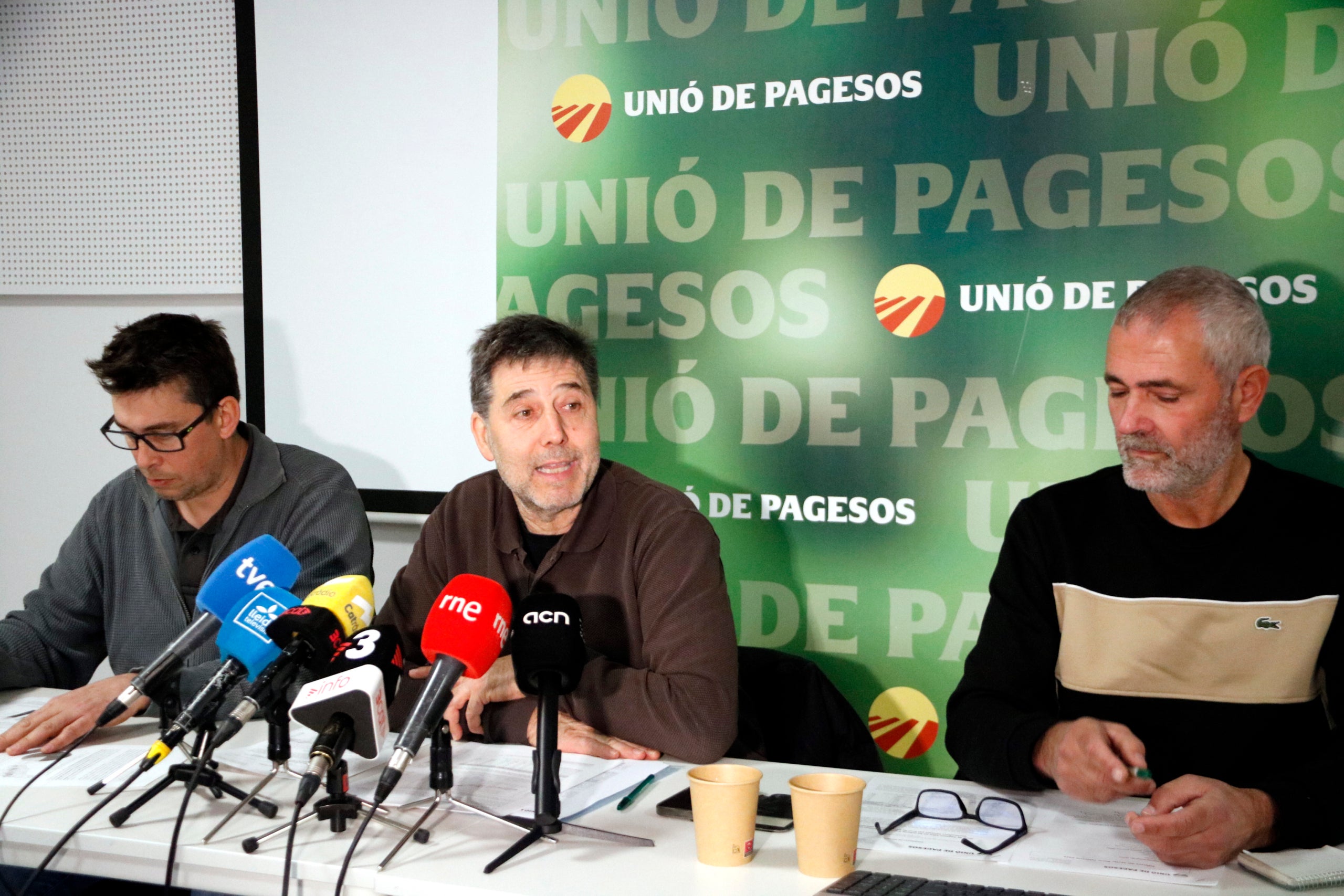 Roda de premsa d'UP per valorar les pèrdues del sector porcí pel brot de PPA | Oriol Bosch (ACN)
