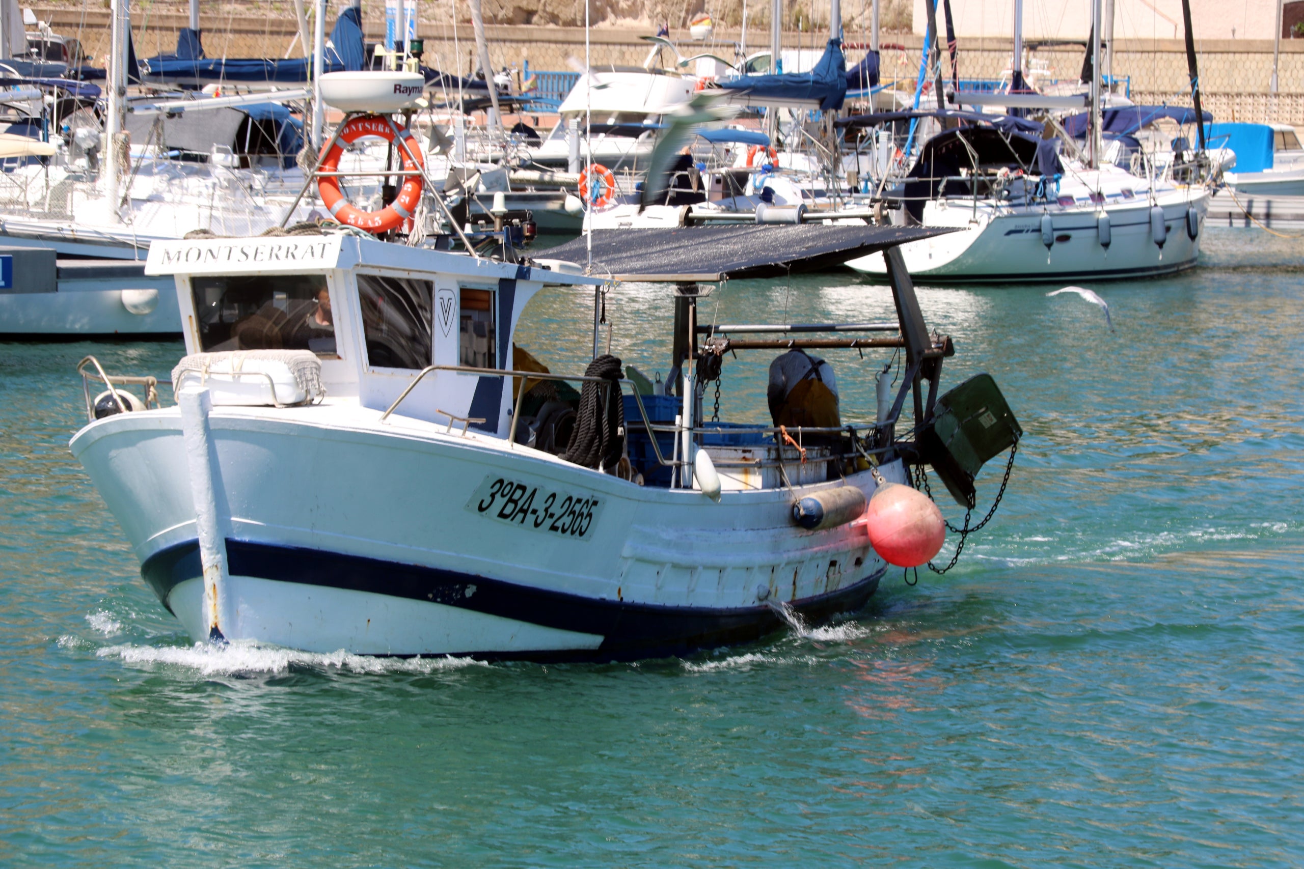 Un vaixell pesquer entrant al port d'Arenys de Mar
Autor: Àlex Recolons / ACN