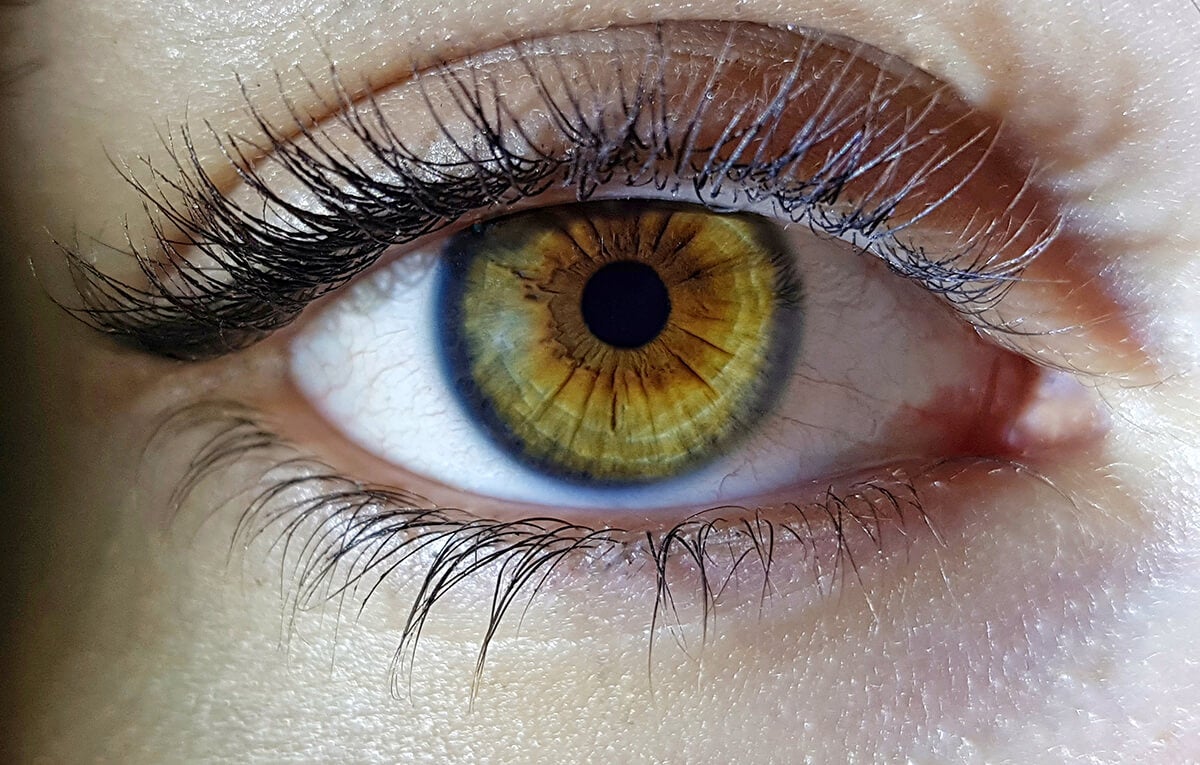 Adiós a la visión borrosa la vitamina que protege y cuida tu vista

