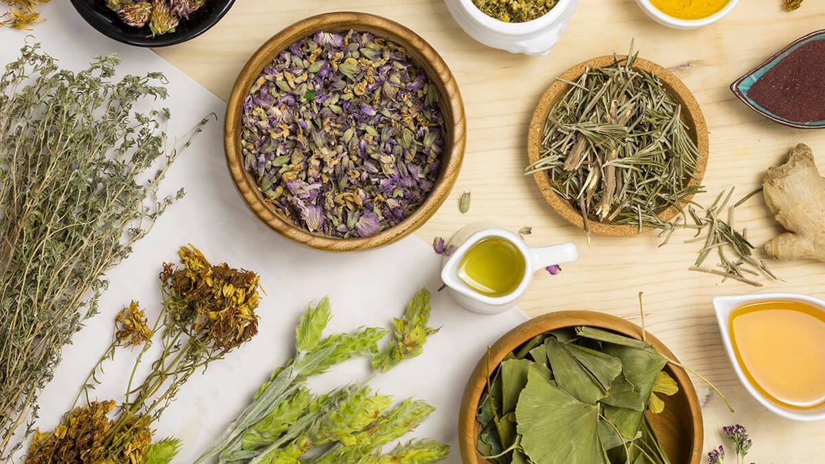 Aquesta planta medicinal ajuda a controlar el nerviosisme i reforça la memòria de manera natural

