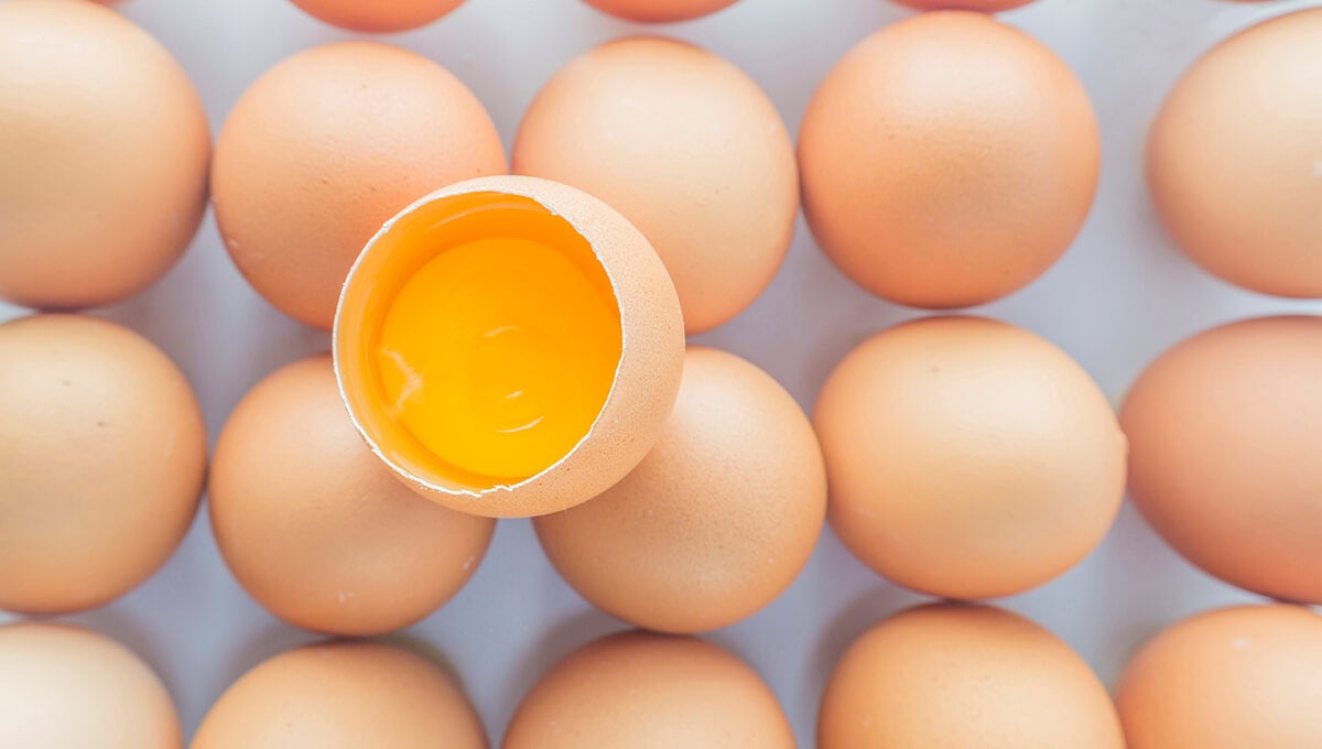 El teu cos canvia després dels 50