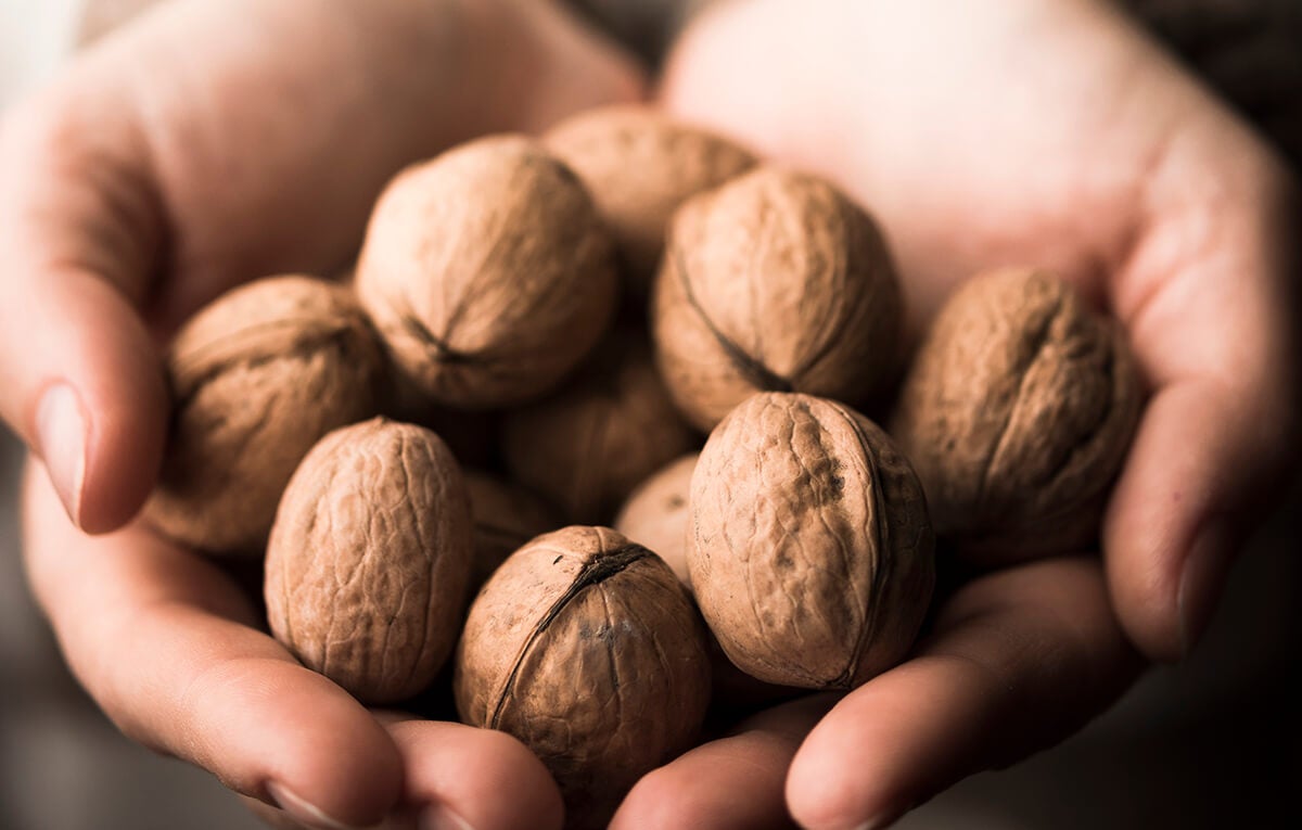L’esmorzar amb nous que dispara el teu cervell tot el dia 