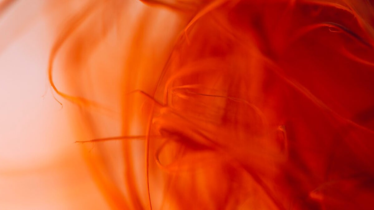 Psicólogos advierten: la relación entre color favorito e inteligencia es anecdótica y no determinante