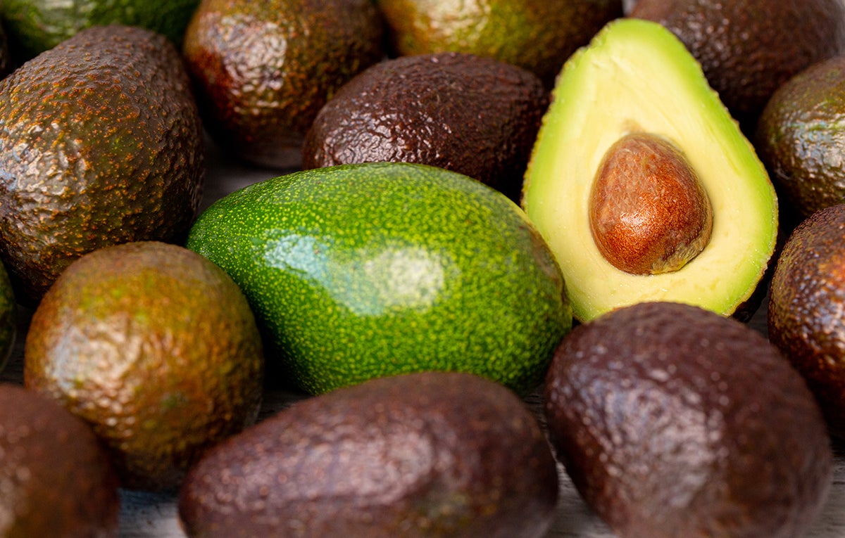 L’alvocat català: el fruit del futur que ja creix a casa nostra
