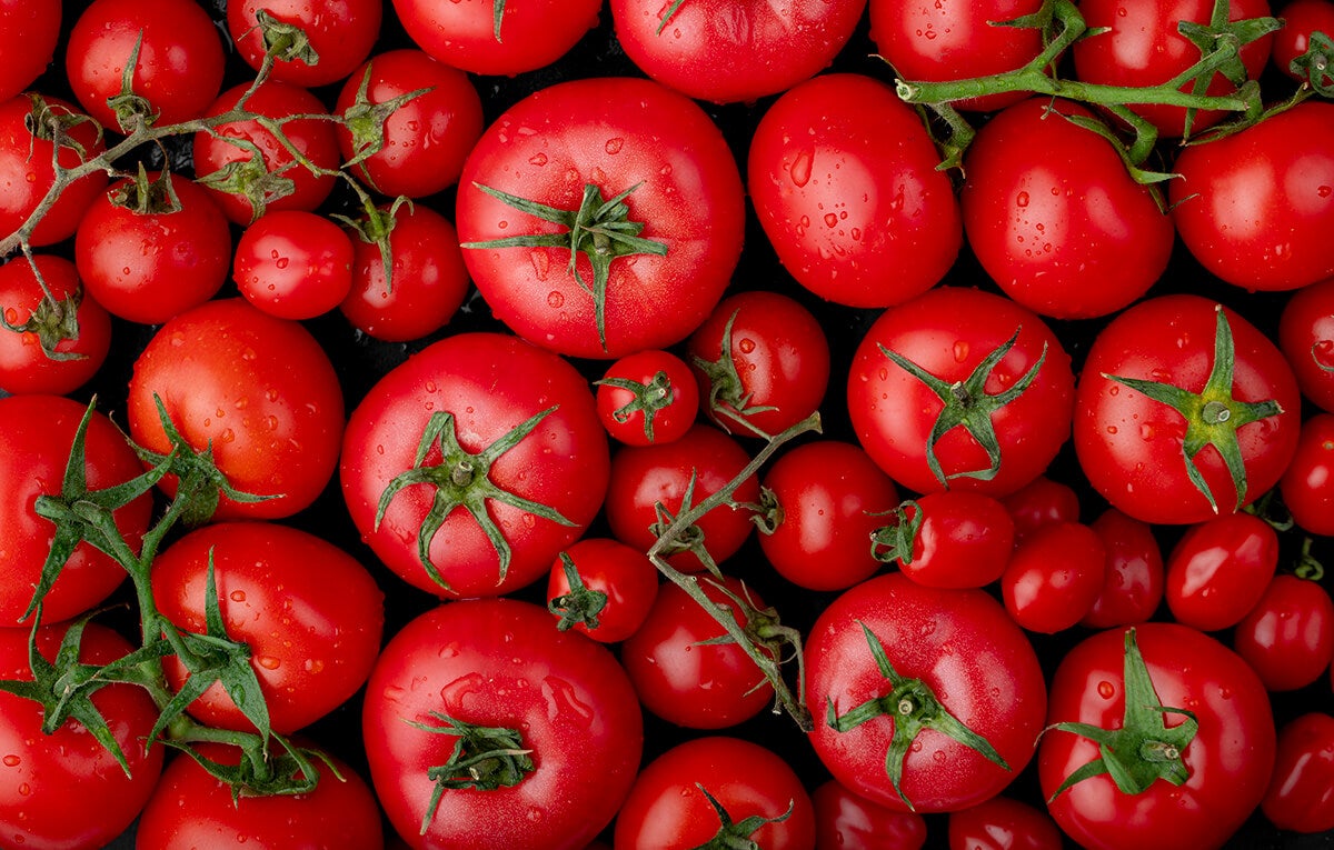 ¿Por qué los tomates ya no tienen sabor? Un bioquímico revela la verdad que nadie te explica

