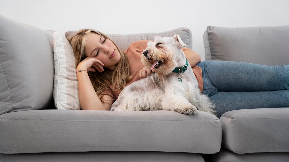 Descubre las ventajas emocionales y los posibles inconvenientes de dormir con tu mascota. Analizamos el efecto sobre el sueño, el estrés y la salud con apoyo científico.

