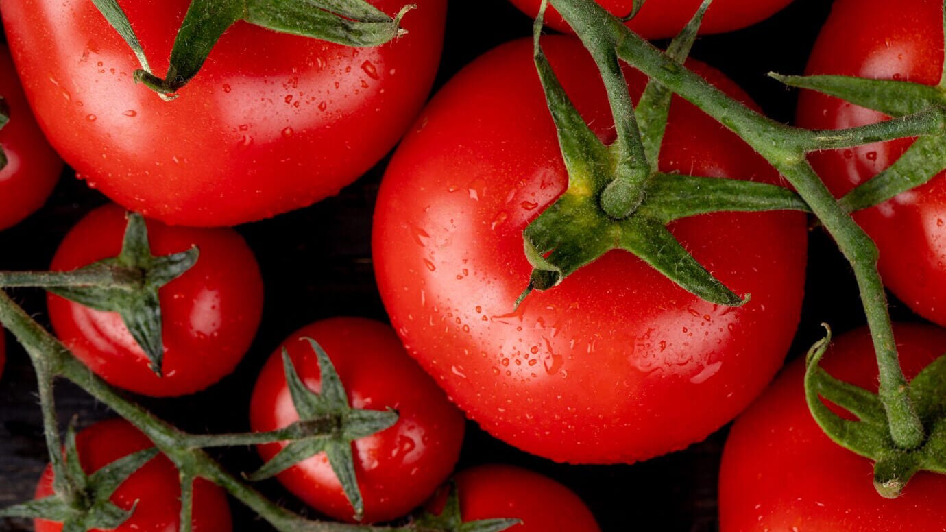 Estamos desperdiciando el 90% del potencial proteico del tomate